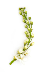 Similar image 22362197