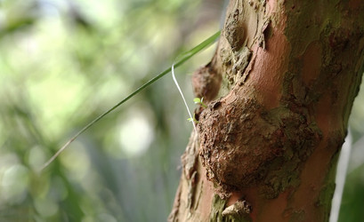 Similar image 22362210