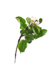 Similar image 22362228