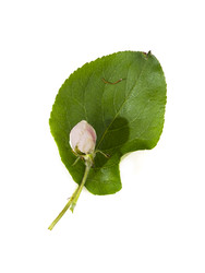 Similar image 22362240