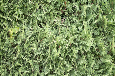 Similar image 22362241