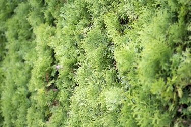 Similar image 22362255