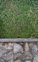 Similar image 22362256