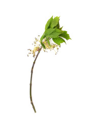 Similar image 22362270