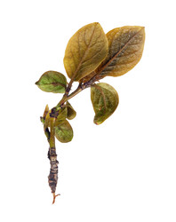 Similar image 22361943