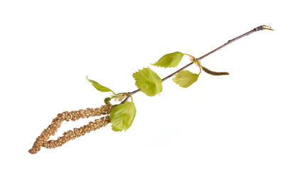 Similar image 22361956