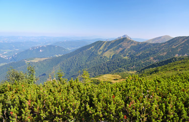 Similar image 22362166