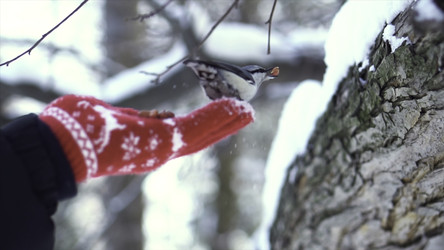 Similar image 22368398