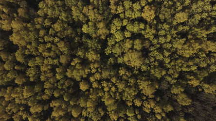 Similar image 22368505