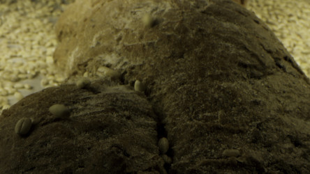 Similar image 22368880