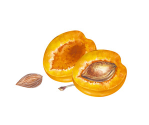 Similar image 22374026