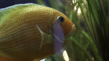 Similar image 22368429