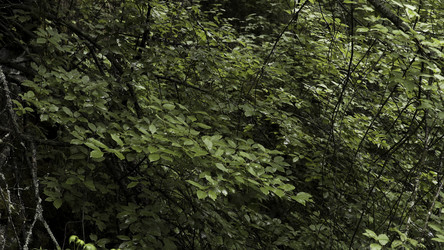 Similar image 22368551