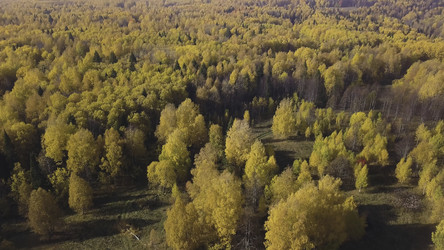 Similar image 22368731