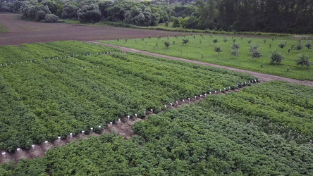 Similar image 22368790