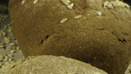 Similar image 22367150