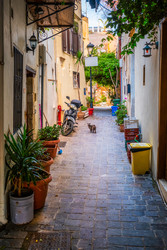 Similar image 22377451