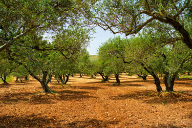 Similar image 22377466