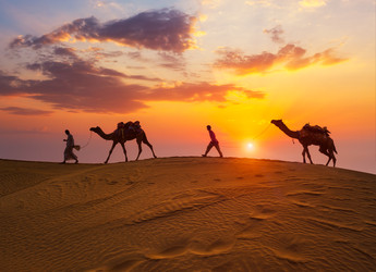 Similar image 22373256