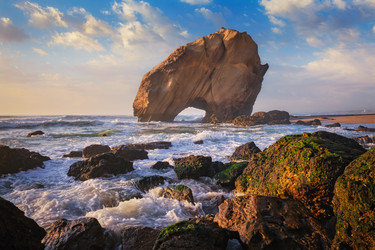 Similar image 22374823