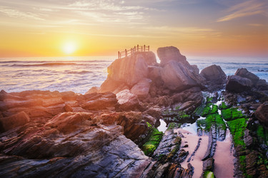 Similar image 22374853