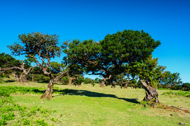 Similar image 22376905