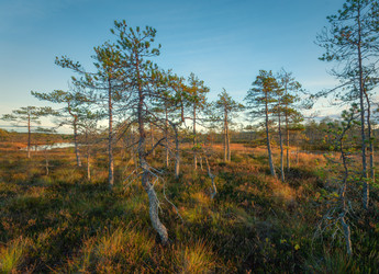 Similar image 22359697