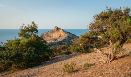 Similar image 22359712