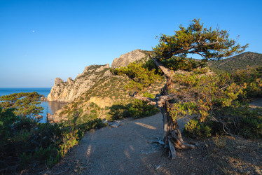 Similar image 22359715