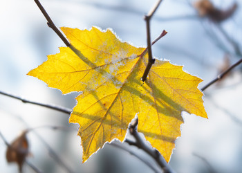 Similar image 22359717