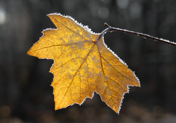 Similar image 22359718