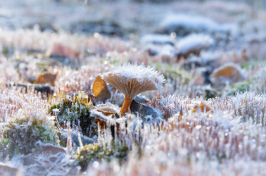 Similar image 22359720