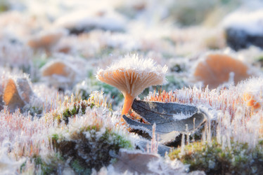 Similar image 22359721