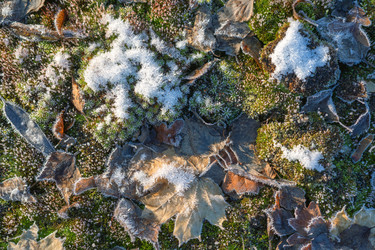 Similar image 22359725