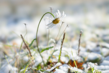 Similar image 22359727