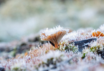 Similar image 22359730