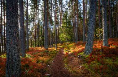 Similar image 22359731