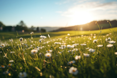 Similar image 22374799