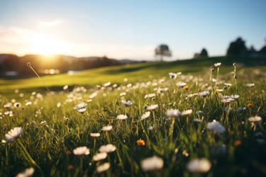 Similar image 22374813