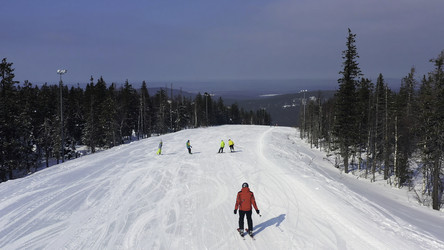 Similar image 22370032