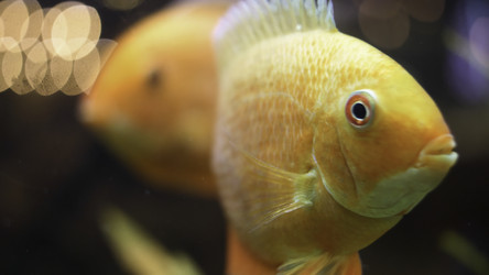 Similar image 22370075