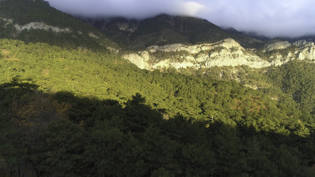 Similar image 22370283