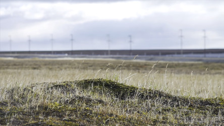 Similar image 22367132