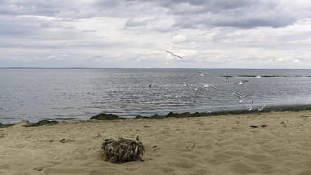 Similar image 22367256