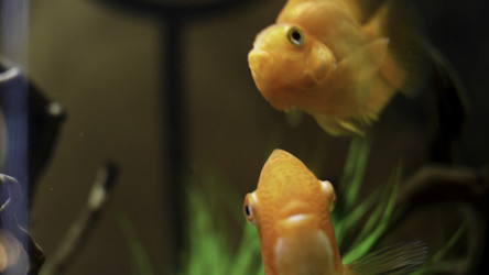 Similar image 22367734