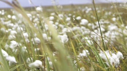 Similar image 22367839