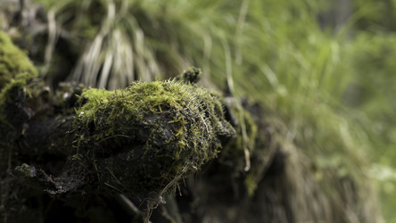 Similar image 22367941