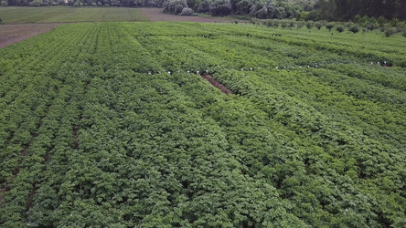 Similar image 22369740