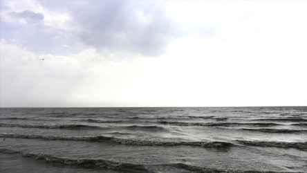 Similar image 22369860