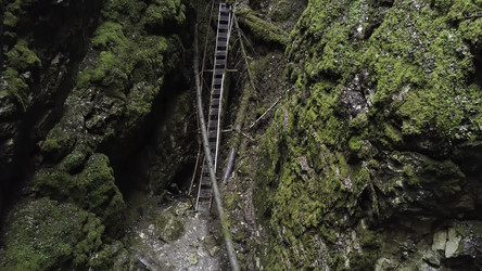 Similar image 22370092